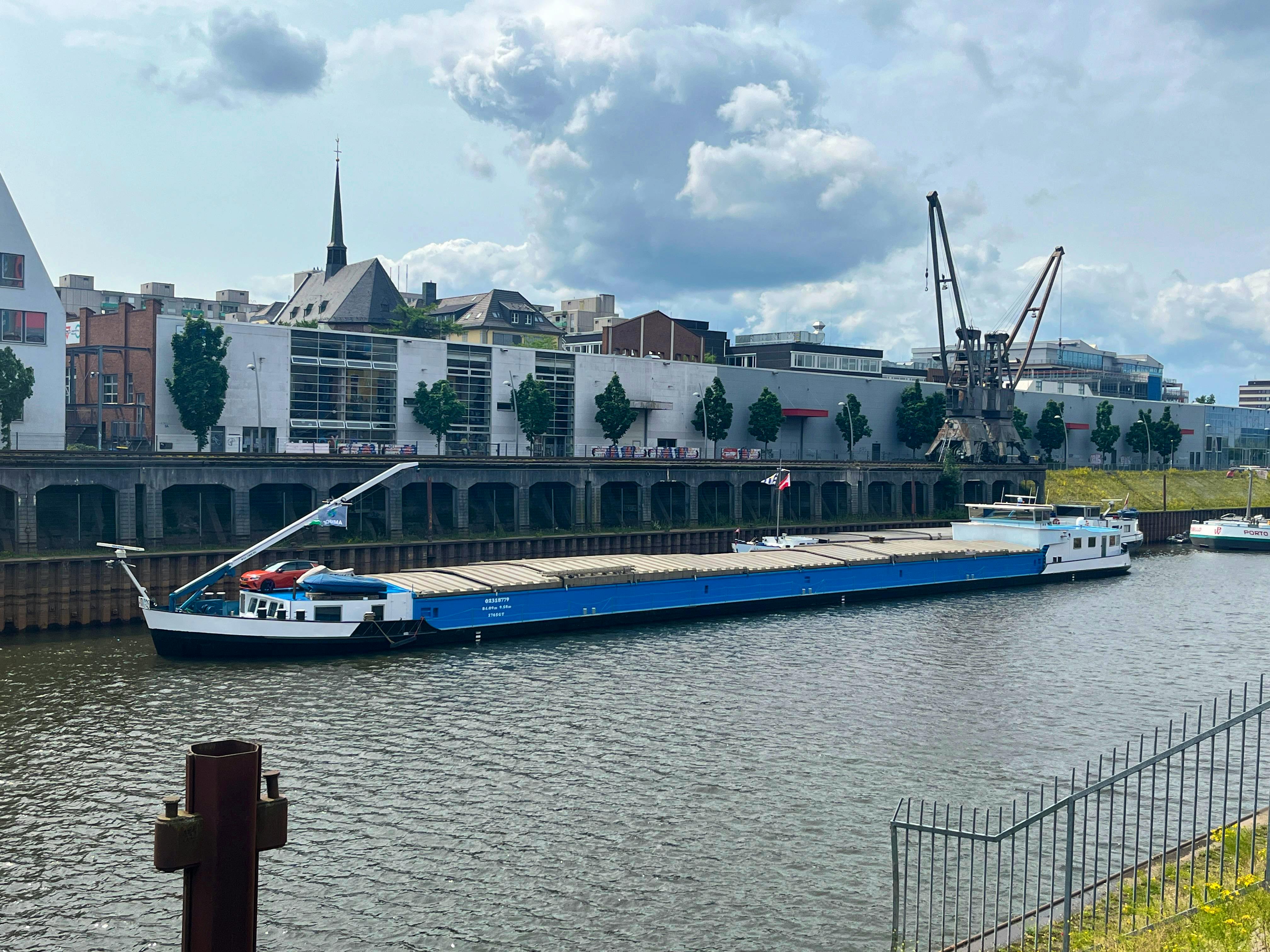 Amigos — thumbnail 5